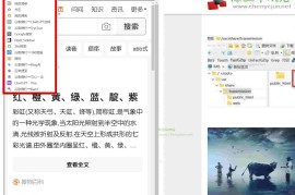 Google Chrome浏览器右侧边栏嵌入网页